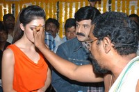 Balakrishna New Movie Launch